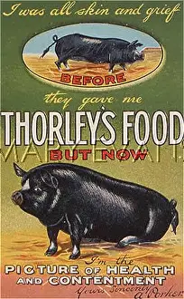 Porker: ADVERT/THORLEY'S PIG