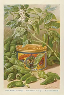 Tinned: Advertisement for tinned green chillies in vinegar