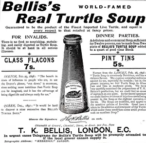 Soup: An advertisement for Turtle Soup