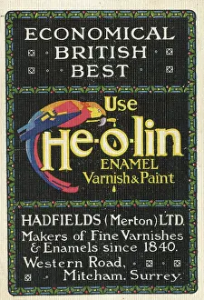 Parrots: Advert, Use Heolin Enamel Varnish & Paint