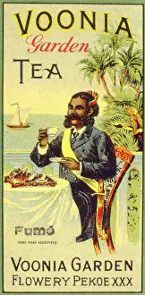 Smoky: Advertisement for Voonia Garden Tea