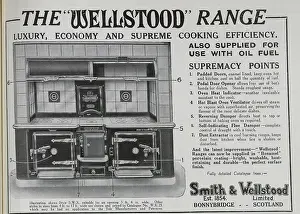 Advertizing: Advert for Wellstood Ranges