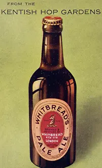 Hops: ADVERT/WHITBREAD PALE A
