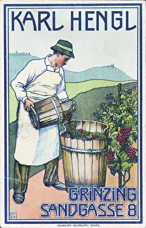 Vineyards: Advertising for the winery Karl Hengl