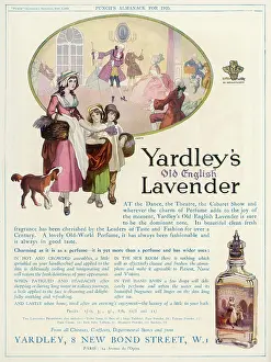 Yardley: Advertisement - Yardley Lavender