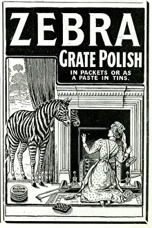 Grate: Advert for Zebra Fire Grate Polish