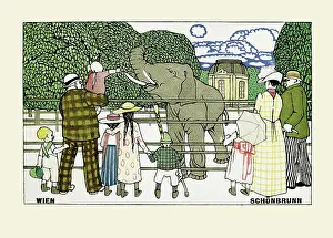 Schonbrunn: Adalberta Kiessewetter. Elephant Enclosure