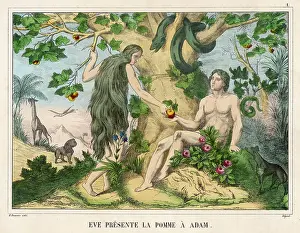 Accepts: ADAM ACCEPTS THE APPLE