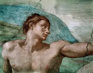 Frescoed: Adam, detail of the Creation