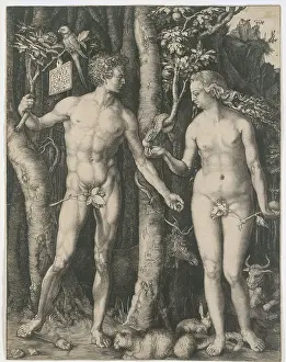 Ascetic: Adam and Eve