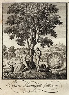 Sinning: Adam and Eve take the apple in the Garden of Eden
