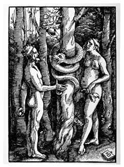 Grien: Adam - Eve - Biblical - Creation