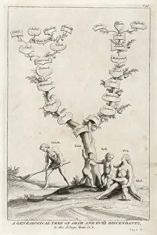 Genealogical: ADAM & EVE DESCENDANTS