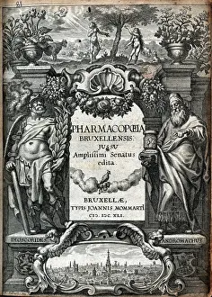 Pharmacists: Adam and Eve and Dioscorides and Andromachus