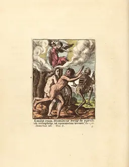 Hollar: Adam and Eve driven out of the Garden of Eden