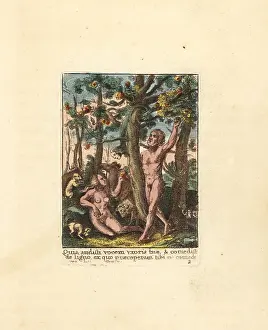 Hollar: Adam and Eve in the Garden of Eden