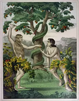 Serpent: Adam, Eve and Serpent in the Garden of Eden