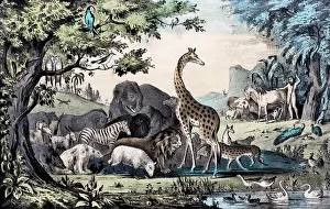 Naming: Adam Naming the Animals