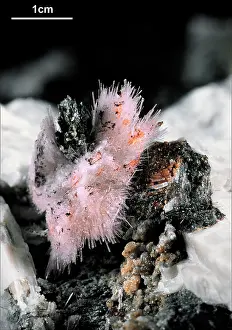 Carbonate: Adamsite-(Y)