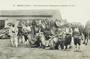 Cilicia: Adana, Turkey - Caravan of Camels