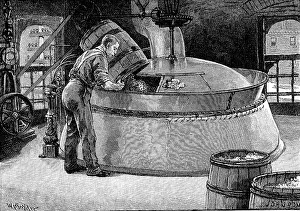 Boiling: Adding hops to boiling beer in an American brewery