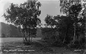 Croydon: Addington Common, Near Croydon