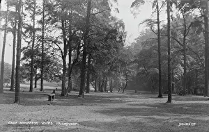 Croydon: Addington Woods, Near Croydon