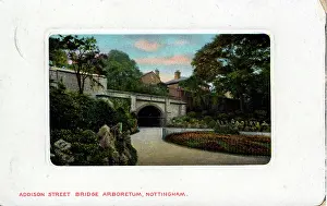 Nottinghamshire: Addison Street Bridge Arboretum, Nottingham, Nottinghamshire