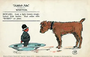 Wordplay: Addled Ads - Humorous postcard - Irish Terrier and Bobby