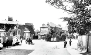 Addlestone: Addlestone, Holly Tree 1904