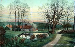 Adel: Adel Dam, Leeds, Yorkshire