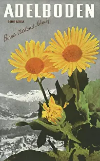 Adelboden: Adelboden