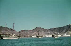 Peter F. Ashford Collection: Aden The Dhows