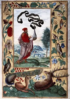 Occultism: Adept with elixir