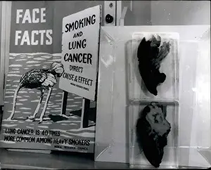 Lungs: Advertise - Billboards - Books - Logos