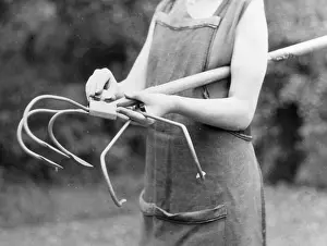 Hoeing: ADJUSTABLE GARDEN HOE