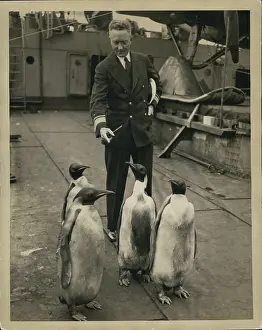 Diggings: Admiral Byrd with Emperor Penguins on expedition ship