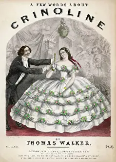 Extraordinarily: Admirers - Crinoline 1850s