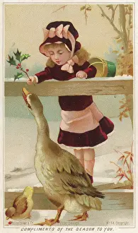 Admires: ADMIRING THE GOOSE