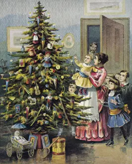 Admire: Admiring Tree