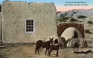 Adobe: Adobe House - Mexico - Bake Ovens and Mules