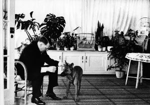 Obersalzberg: Adolf Hitler with his dog, 1937