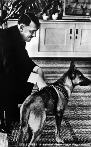 Fhrer: Adolf Hitler with his dog, 1937