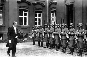 Adequate: Adolf Hitler before the Guard of Honor of the Reich