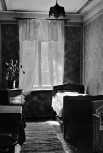Braunau: Adolf Hitler's birthplace, 1938
