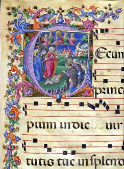 Pellegrino: Adoration of the Shepherds