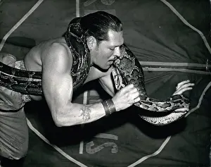 Finale: Adrian Darley performing with python, Kiss of Death