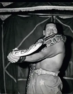 Thrill: Adrian Darley performing with python, Kiss of Death