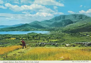 Beara: Adrigole Harbour, Beara Peninsula, West Cork, Ireland