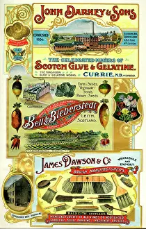 Brushes: Adverts, three Scottish businesses